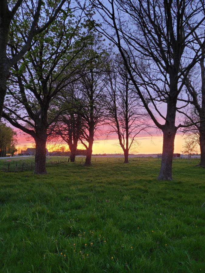 Vakantiehuis Aan Het Bos - Gelegen Aan De Tulpenroute Bant Екстериор снимка