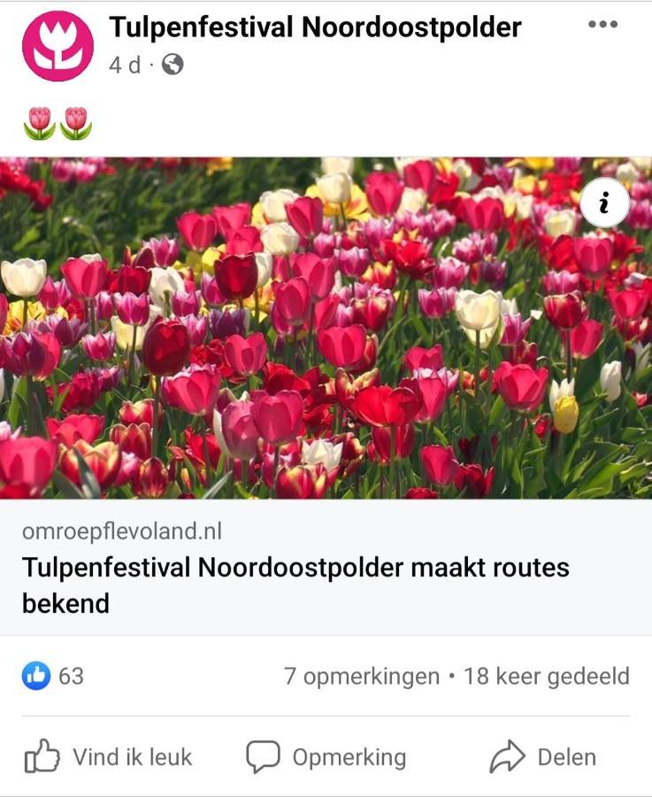 Vakantiehuis Aan Het Bos - Gelegen Aan De Tulpenroute Bant Екстериор снимка